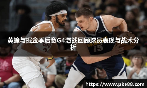 伟德国际