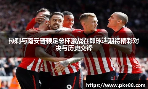 热刺与南安普顿足总杯激战在即球迷期待精彩对决与历史交锋